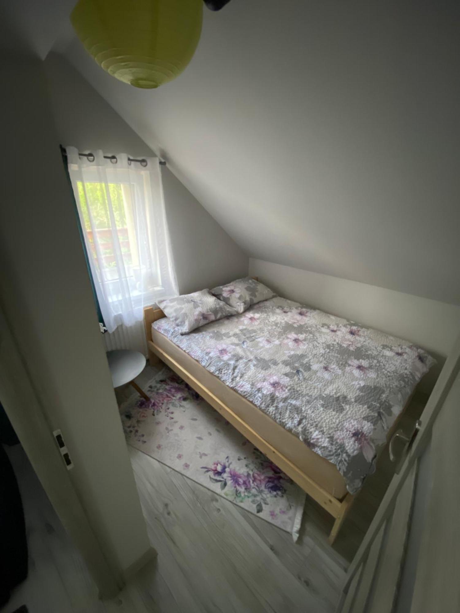 Apartamenty Lesna Osiem Jezow Sudecki Cameră foto